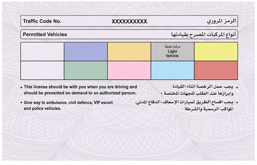 UAE driving license, back, showing permitted vehicles